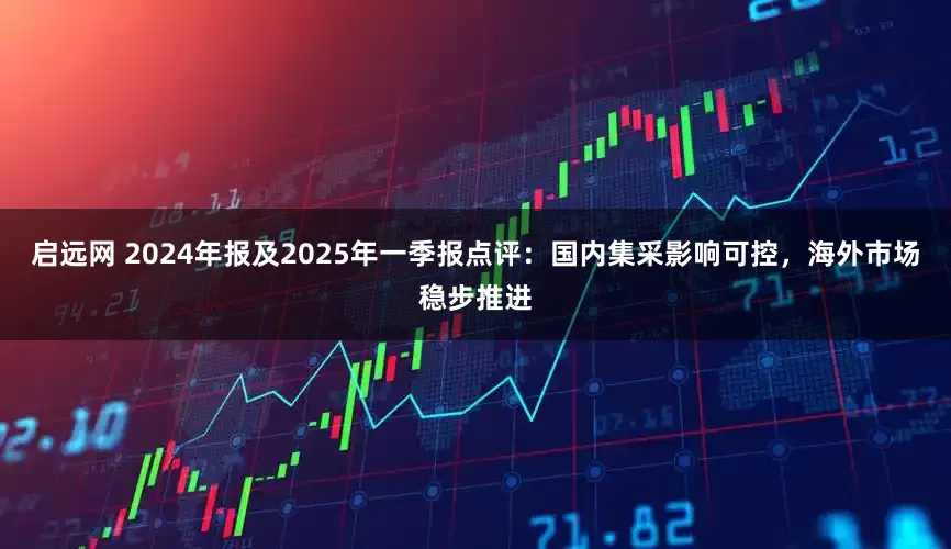 启远网 2024年报及2025年一季报点评：国内集采影响可控，海外市场稳步推进