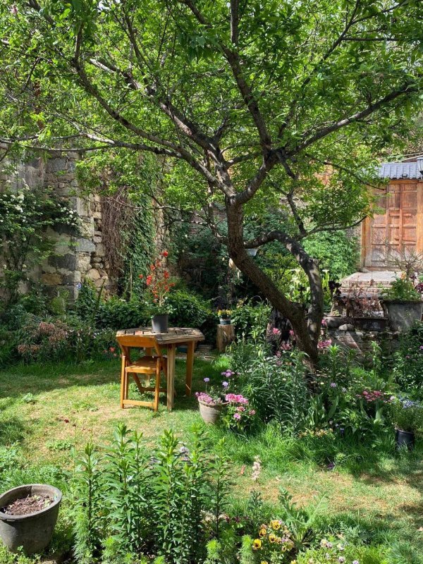 乐蒙网 十年后农村院子真能成最奢侈房子？和城市别墅比一比！