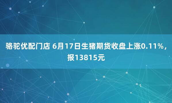骆驼优配门店 6月17日生猪期货收盘上涨0.11%，报13815元