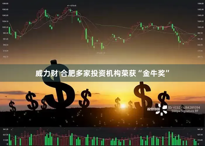 威力财 合肥多家投资机构荣获“金牛奖”